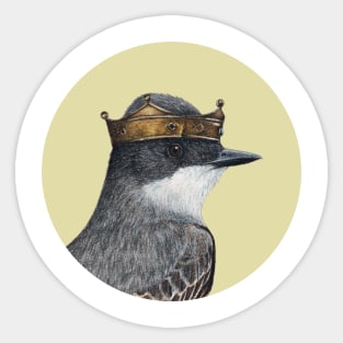 Eastern kingbird Sticker